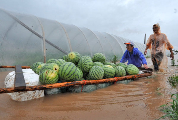 Underwater melons