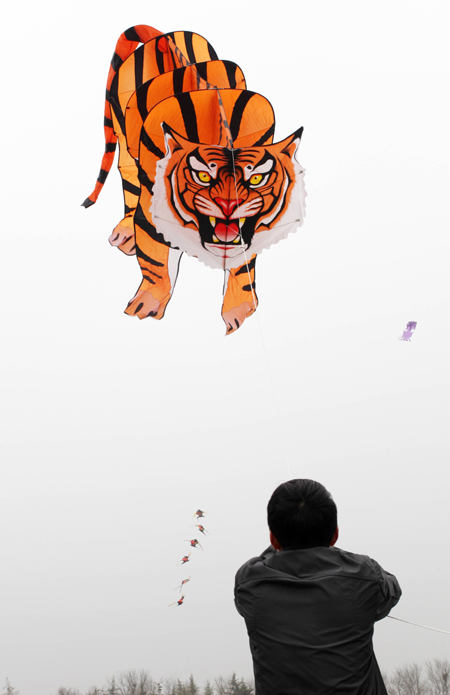 Flying Tiger