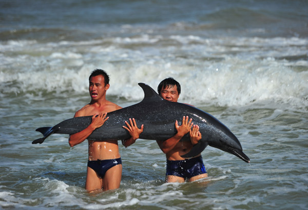 Beach rescue