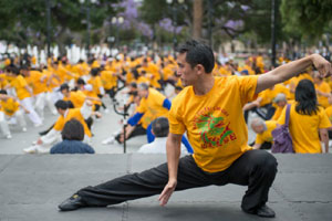 Kung Fu flight attendants train for terror