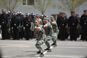 Military signal tactics on show in Nanjing