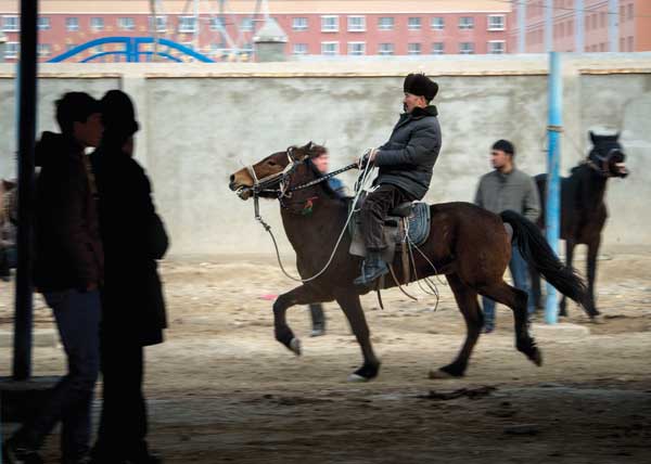 Bazaar lures visitors with promise of good food, fun and deals on livestock