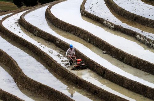 Summer planting in SW China