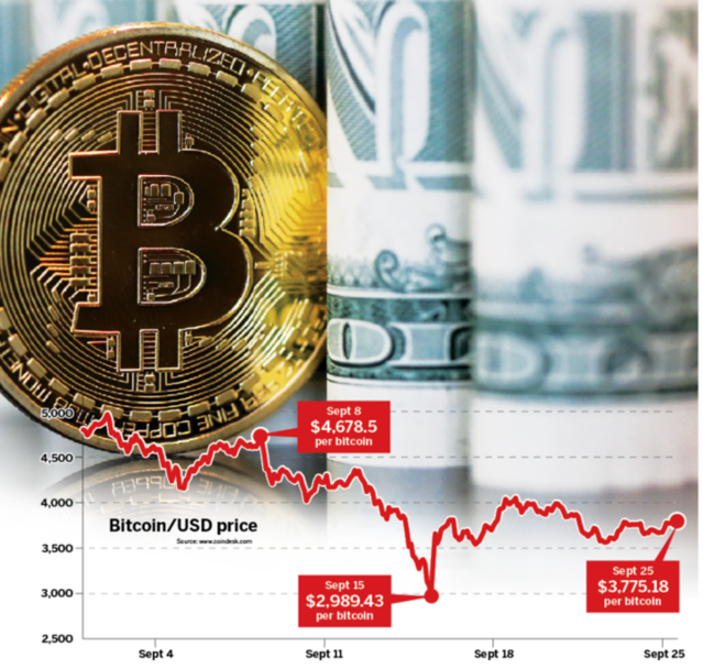 ICO muzzle - stopping the unstoppable?