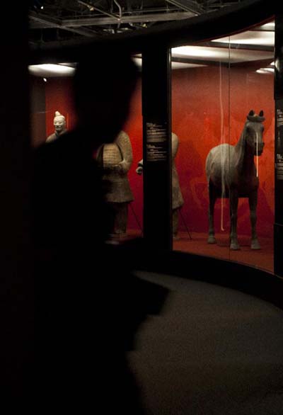 Largest terracotta warriors thematic EXPO opens in HK