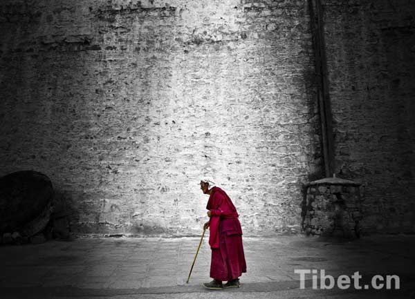 Tibetan monk's life in photographer's eyes