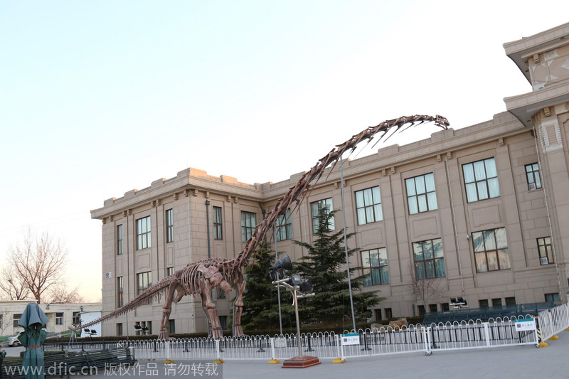 World's biggest dinosaur skeleton shown in Beijing