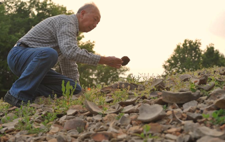 Remarkable celadon professor succeeds in combining modern and ancient