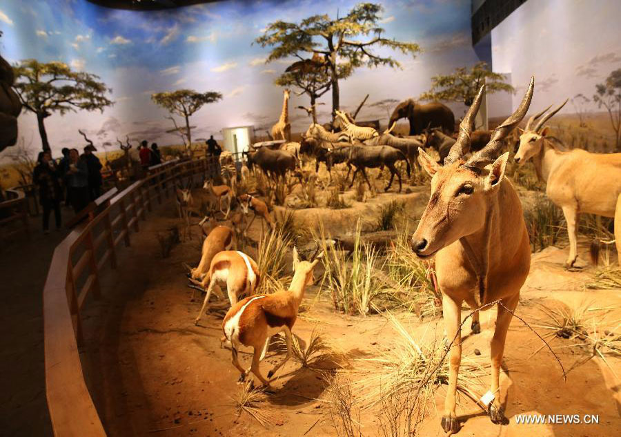 Natural History Museum opens in Shanghai