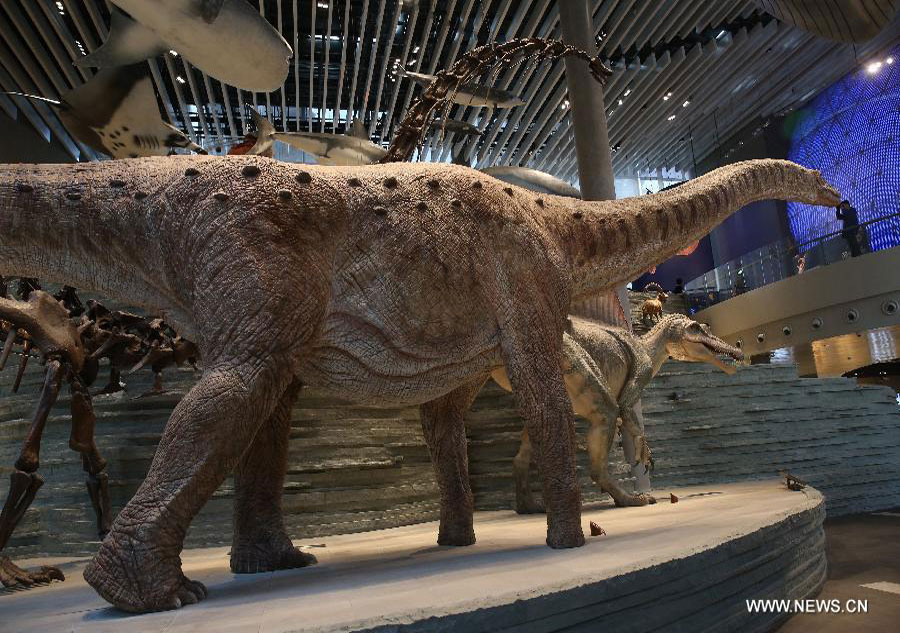 Natural History Museum opens in Shanghai