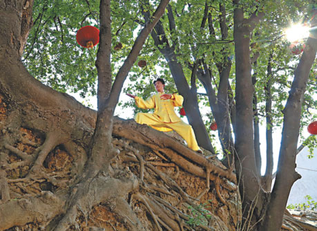 Tai chi changes the face of quaint, quiet farming village