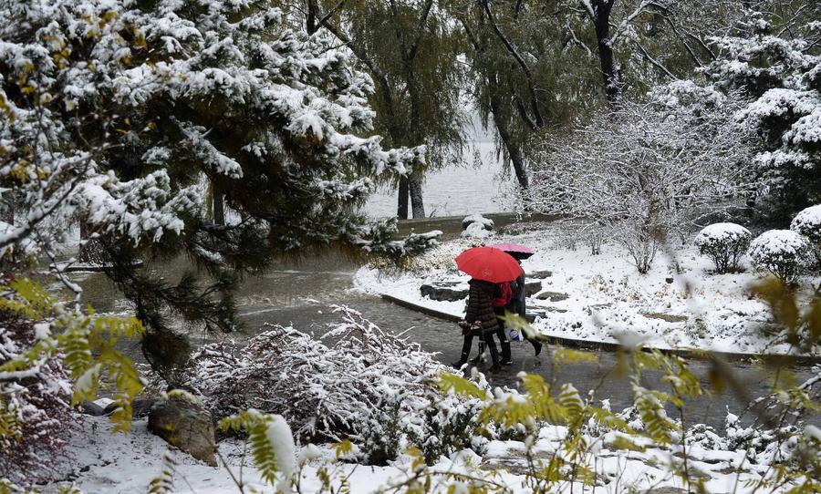 Snowfall brings beauty in Beijing winter