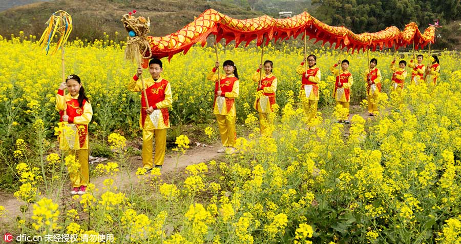 Chongqing students preserve grass dragon heritage