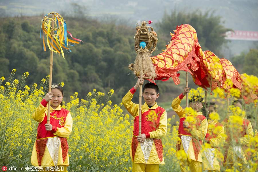 Chongqing students preserve grass dragon heritage