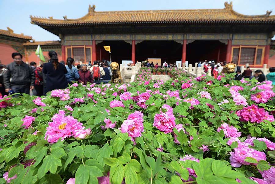 Palace Museum stages peony flower-themed exhibition