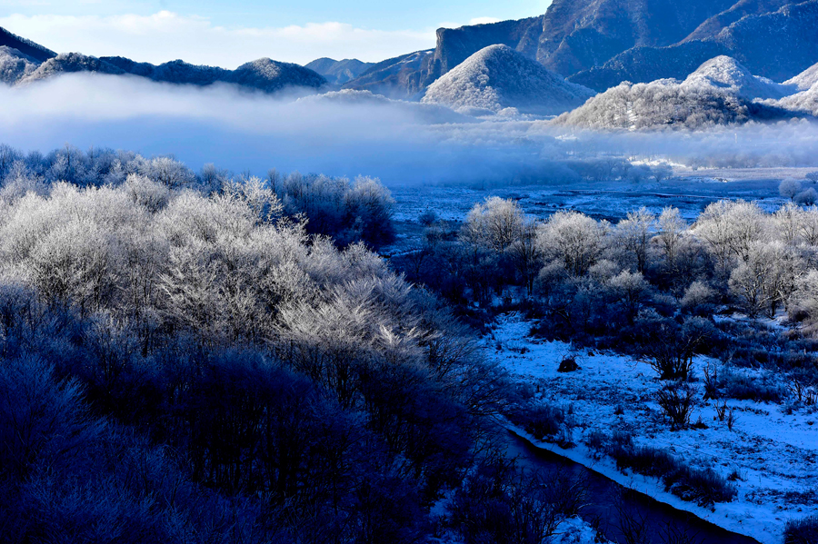 China's Hubei Shennongjia added to World Heritage List