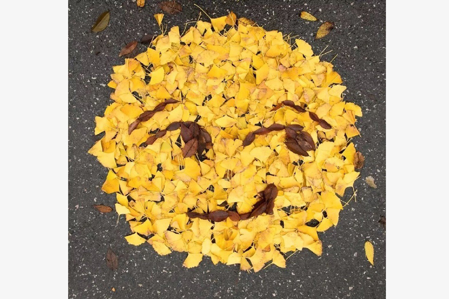 Leaves transform into emojis