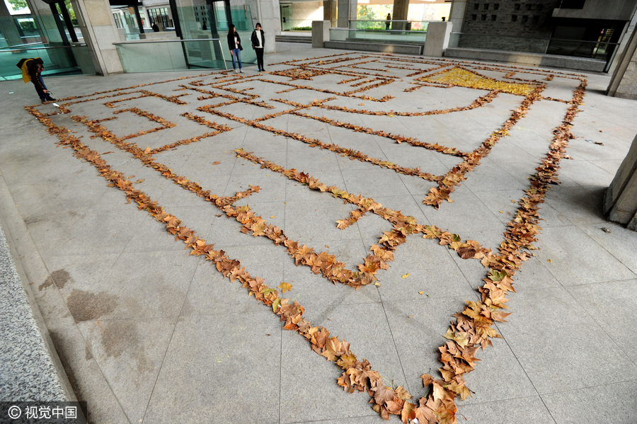 Foliage artworks, last glimpse of autumn in Hangzhou