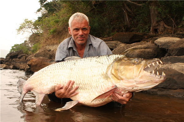 New festival on nature films