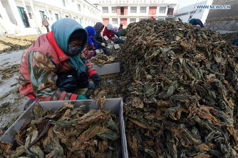 Intangible cultural heritage: Making hookah in NW China