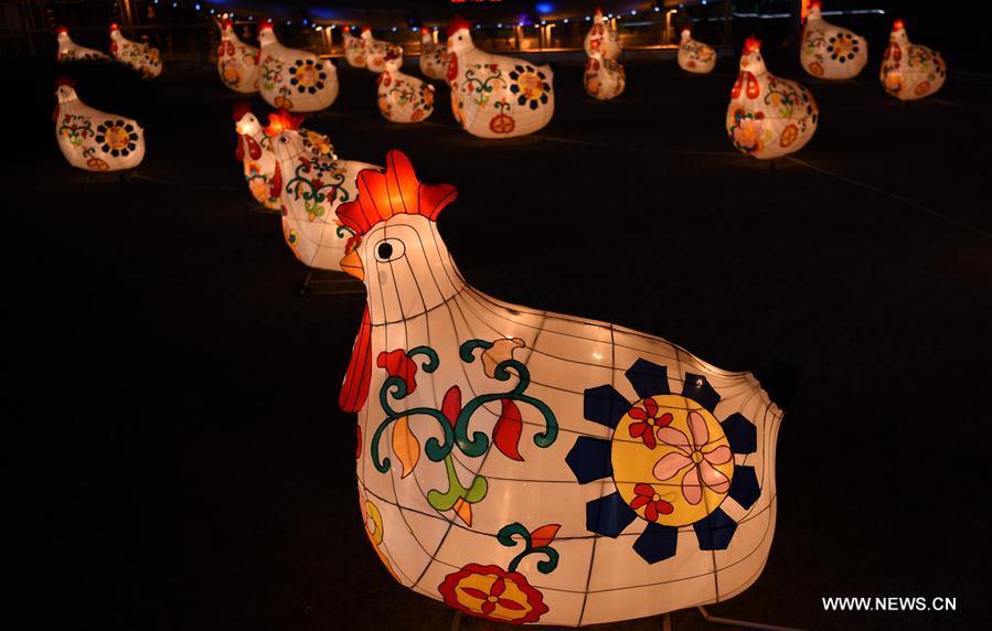 Lanterns in shape of rooster seen in NW China