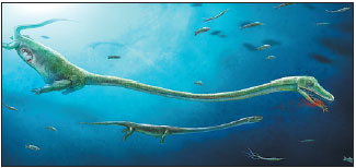 Fossil offers clues to live births