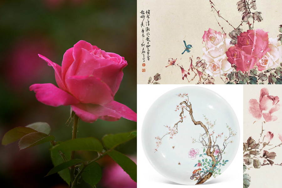 Poetic beauty: 10 most significant flowers in China