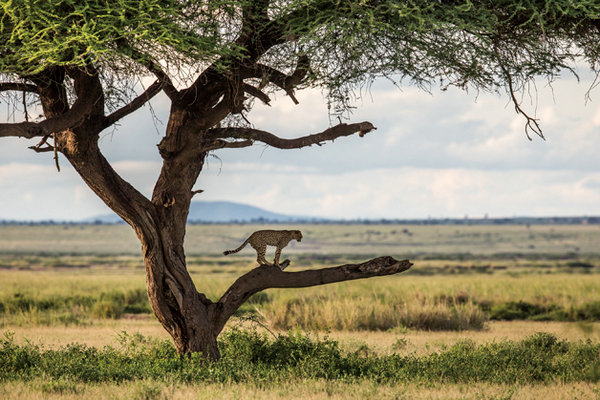 Mother Nature through a woman's lens