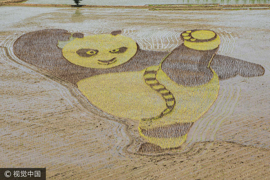 Rice paddy field becomes canvas in Liaoning