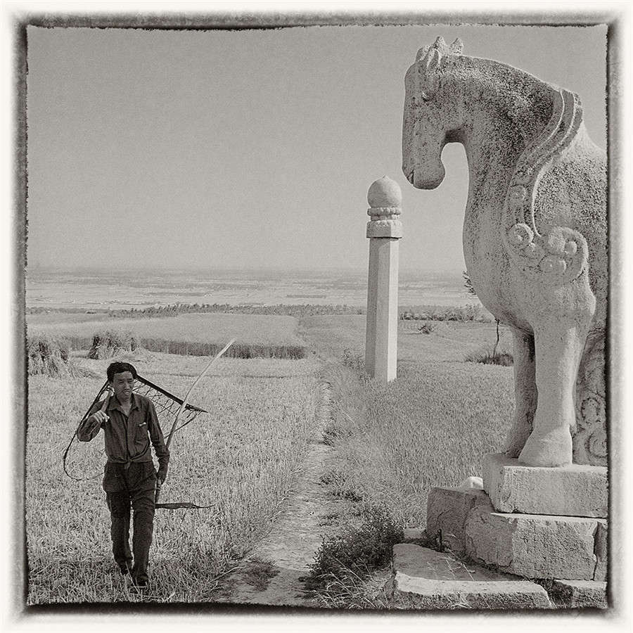 Tang Dynasty imperial mausoleums captured on film