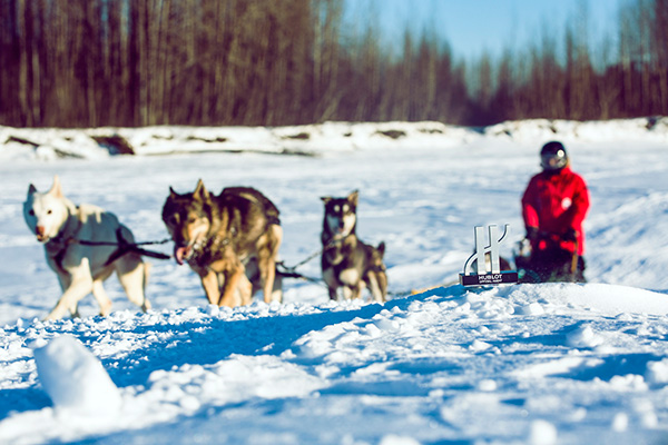 Film tracks adventures of 9 Chinese in Alaska