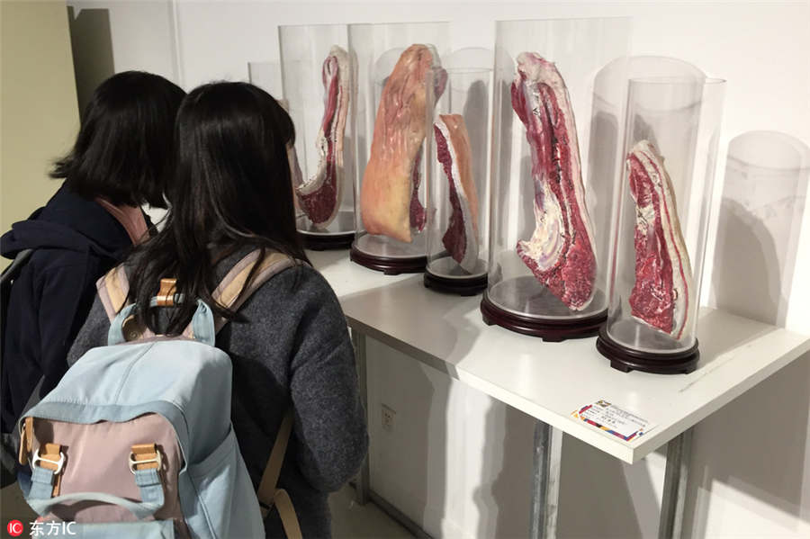 Art festival in Wuhan brings visual feast