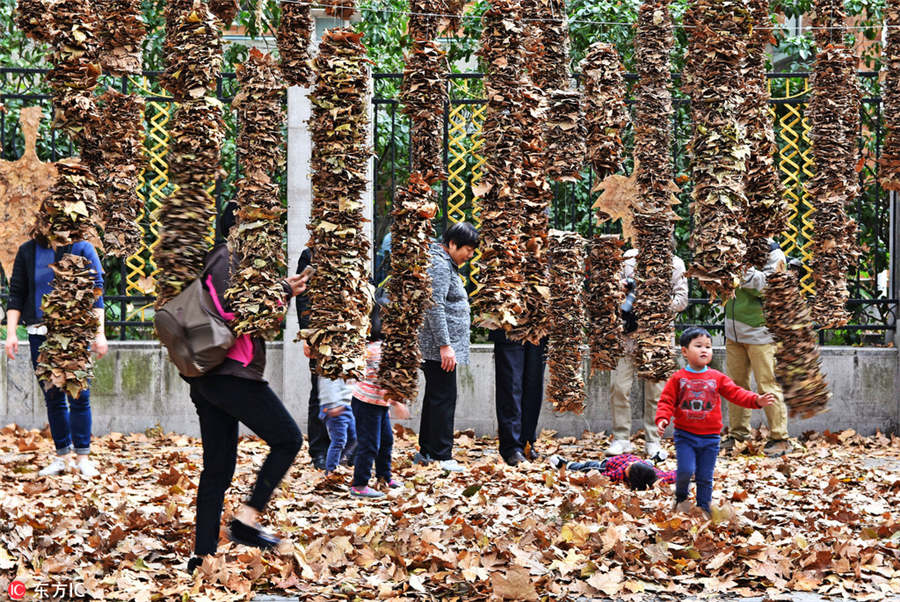 Shanghai stages street art exhibition on fallen leaves