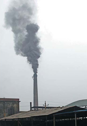 Officials monitor plants to clean up the environment