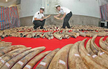 China vows to cooperate in global fight against ivory smuggling: FM