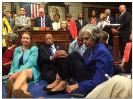 Dems disrupt House over gun vote