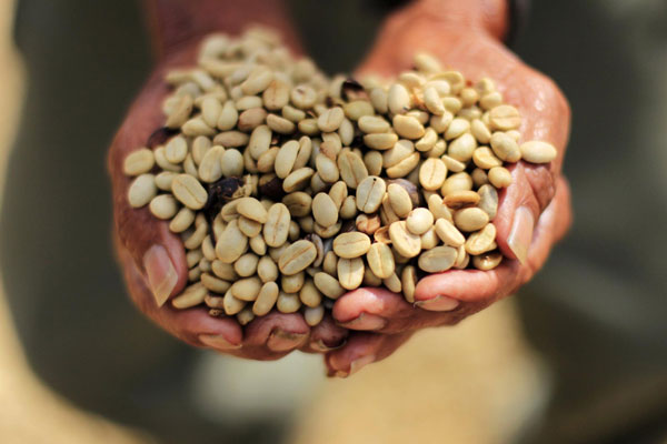 Santa Adelaida coffee beans