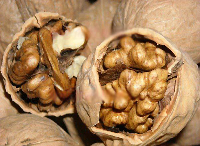 Five nuts to improve your physical quality in winter