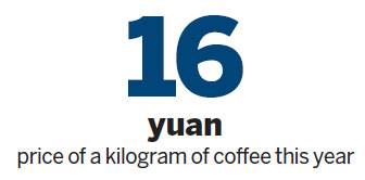 Yunnan brews up cups of success