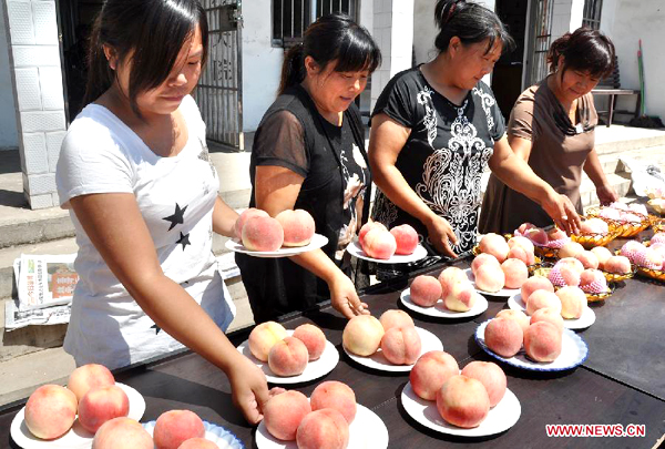 Peach contest in China's Shandong