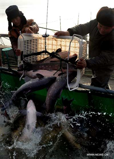 Fishing festival marked at Longting Lake in Henan