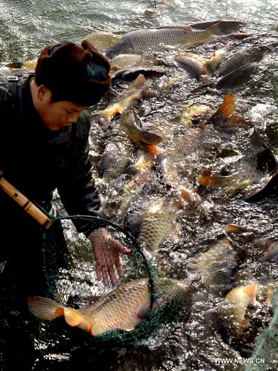 Fishing festival marked at Longting Lake in Henan