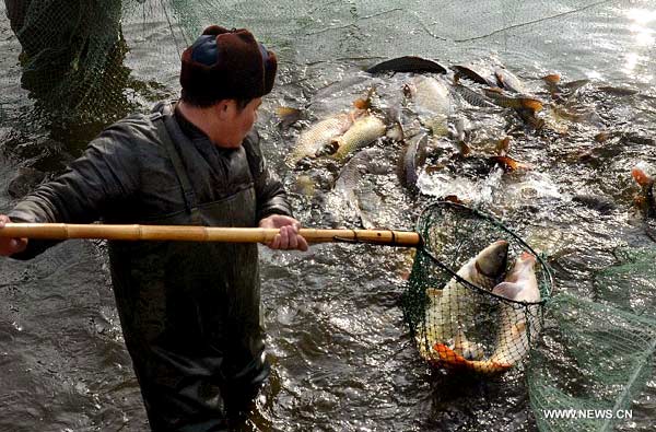 Fishing festival marked at Longting Lake in Henan