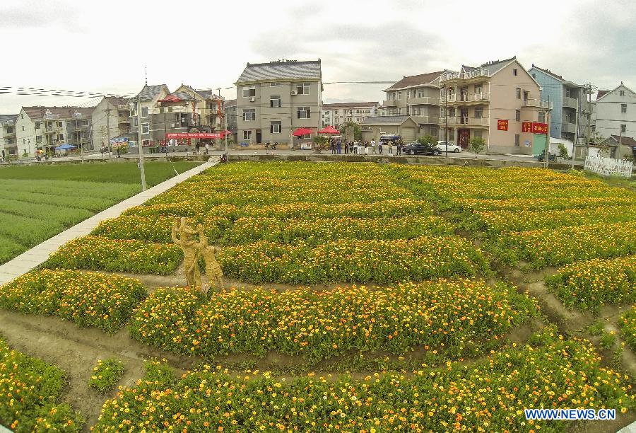 'Swinery tea bar' in China's Zhejiang