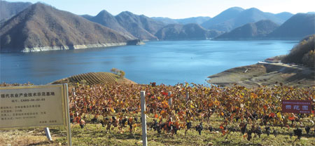 Tonghua to transform into a wine city