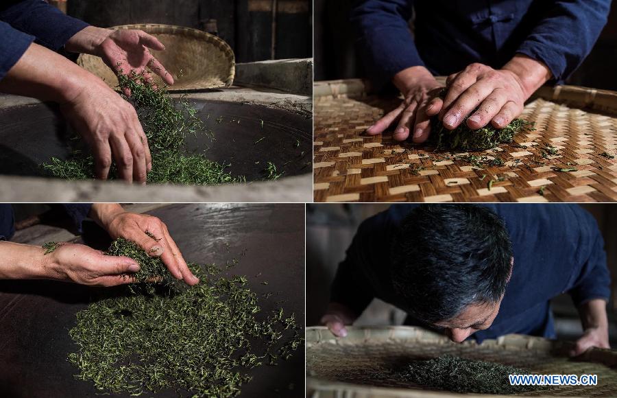 Farmers make tea before Qingming Festival