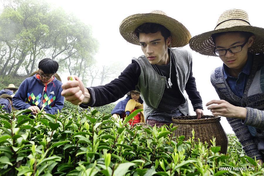 Swiss students visit tea garden in Hangzhou