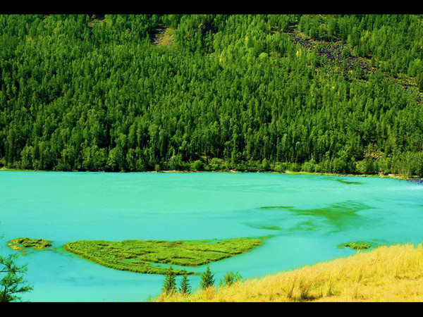 Ha'nasi nature reserve in Xinjiang