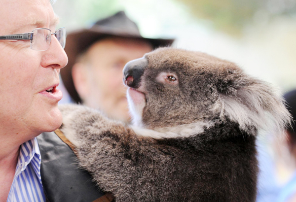 Life weekly photos: Oct 23-29