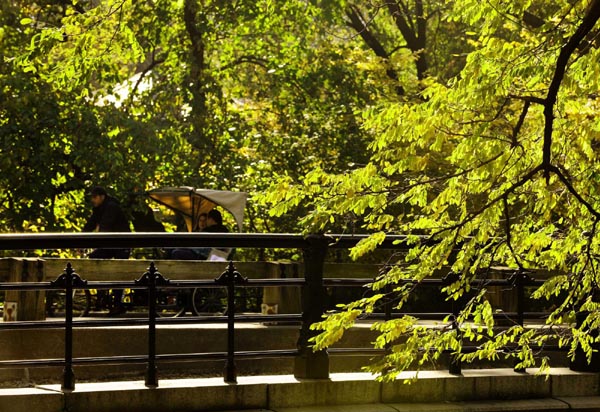 Deep autumn colors of Central Park